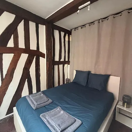 Daire L'ecrin Beauvoisine - Hyper Center Rouen