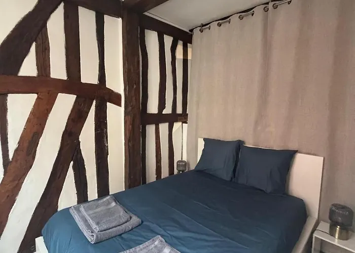 Daire L'ecrin Beauvoisine - Hyper Center Rouen